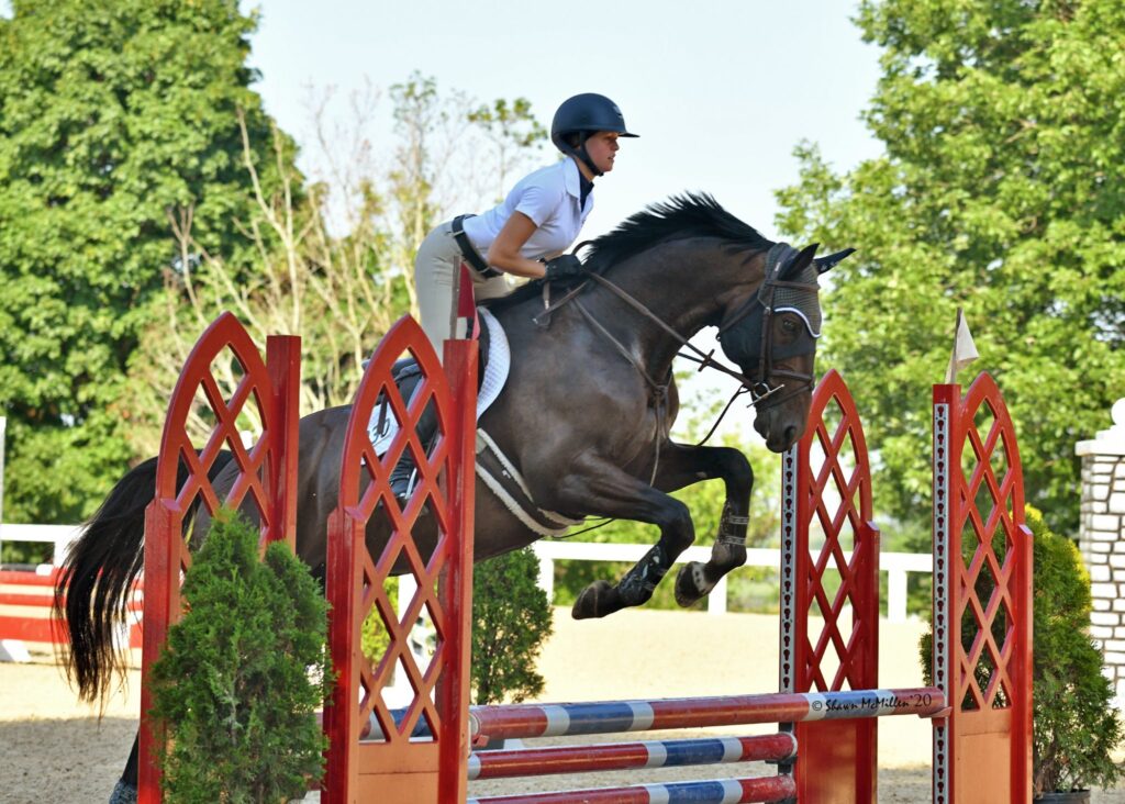 OTTB